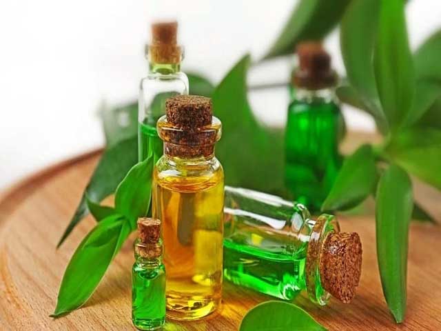 خواص روغن درخت چای برای پوست